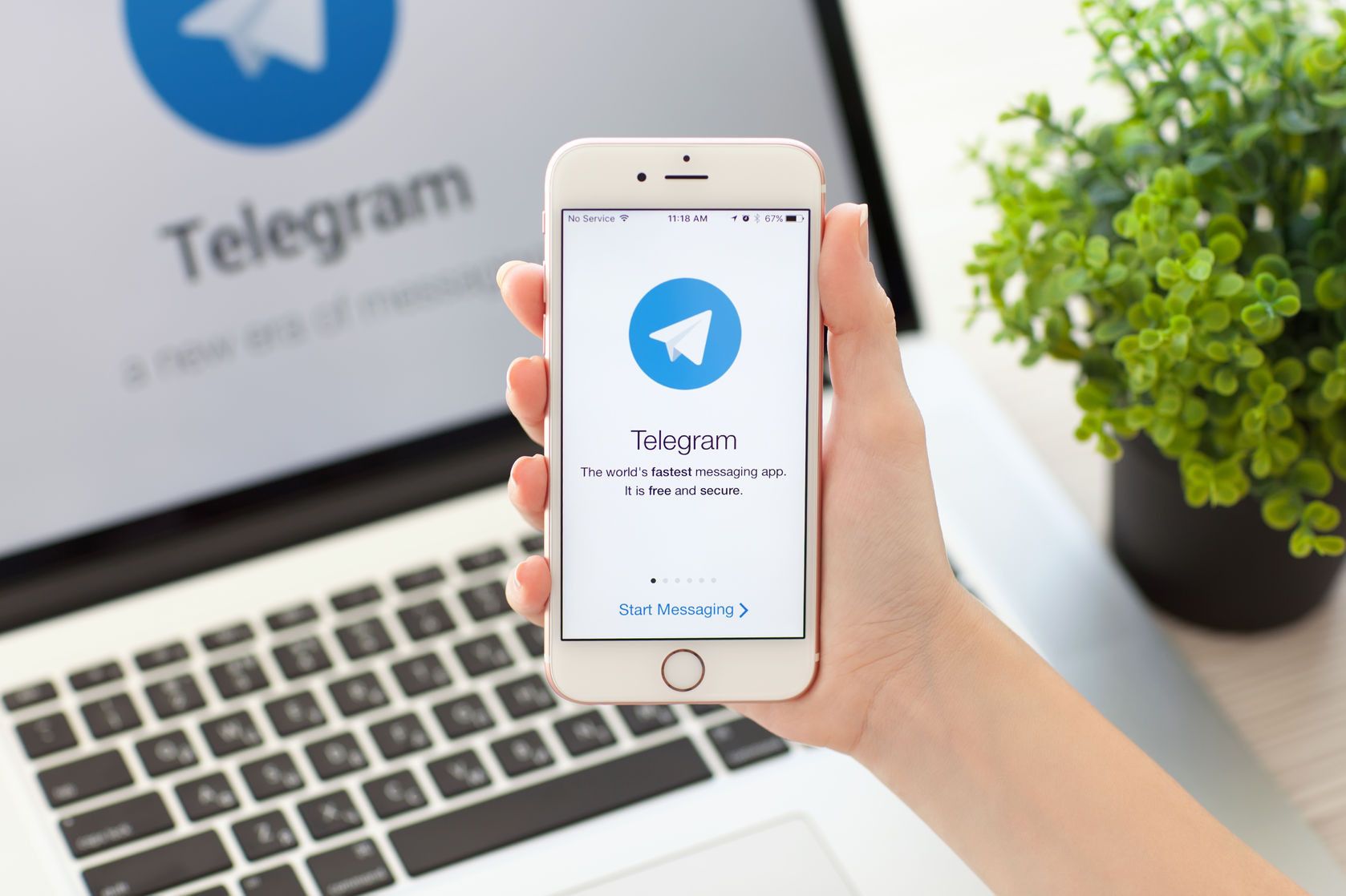 Как продолжить пользоваться Telegram и не иметь проблем с законом