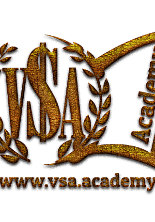 Академия VSA
