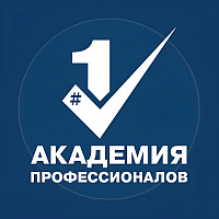 Академия профессионалов