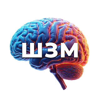 Школа здорового мозга